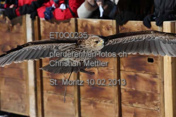 ET0Q0235 prot